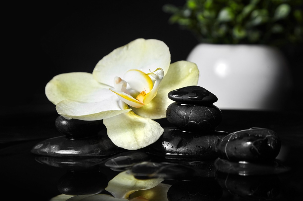 yang butuh jasa massage